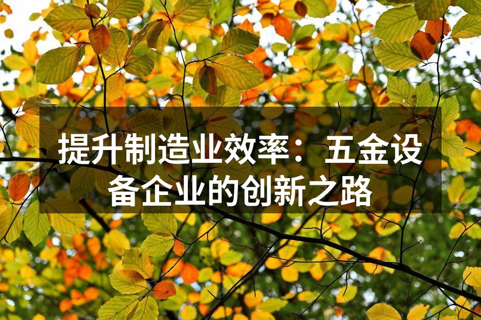 高效的自动化生产线